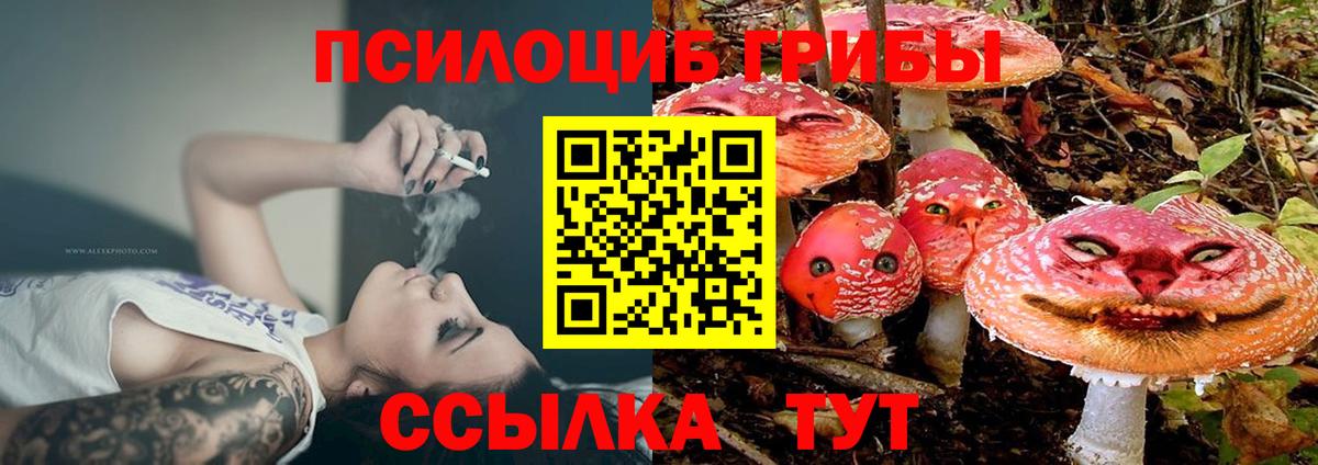 Валуйки  Галлюциногенные грибы MAGIC MUSHROOMS  Псилоцибиновые грибы MAGIC MUSHROOMS  Вход с VPN 