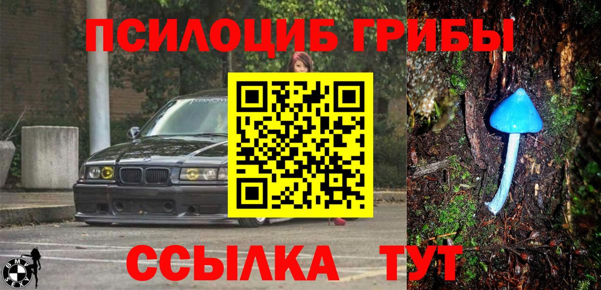 Псилоцибиновые грибы Magic Shrooms Валуйки